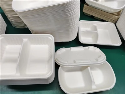 New! Our Two Compartment Bagasse Lunch Boxes Come Out.