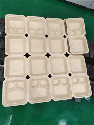 8inch 3 Compartment Bagasse Box