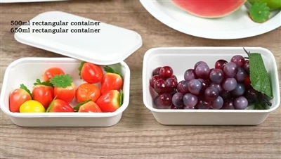 Rich Usage Scenarios Of Square Bagasse Container
