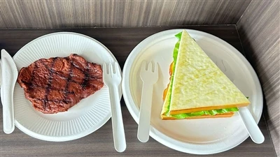 Bagasse Knife And Fork---New Experience Of Tableware