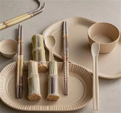 Disposable Tableware- -bagasse Tableware Leads The New Trend Of Green Life