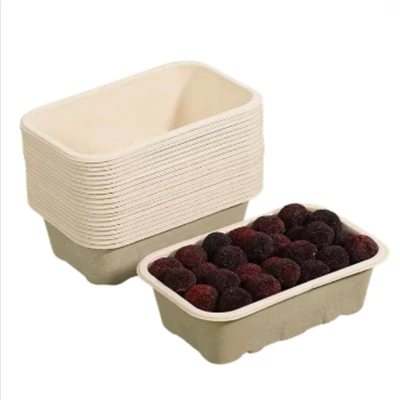 Bagasse Rectangle Box
