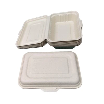 7x5 Inch Bagasse Box