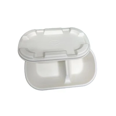 Free Design Paper Pulp Packaging Fiber Bagasse Pulp Molded Packaging Box