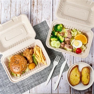 9" x 6" Disposable Clamshell To Go Containers