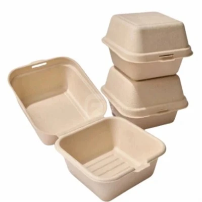 Bagasse Lunch Box