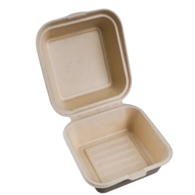 Bagasse Lunch Box