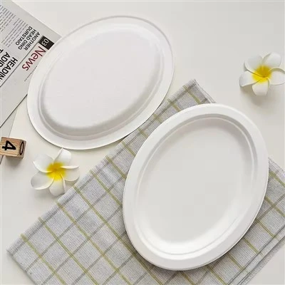 Bagasse Oval Plates