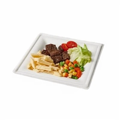 Bagasse Square Plate