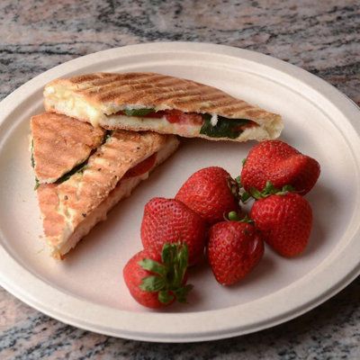 Sugarcane Bagasse Ten-inch Plates